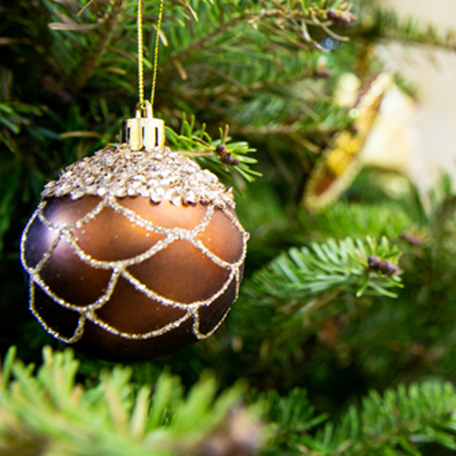 December evite
