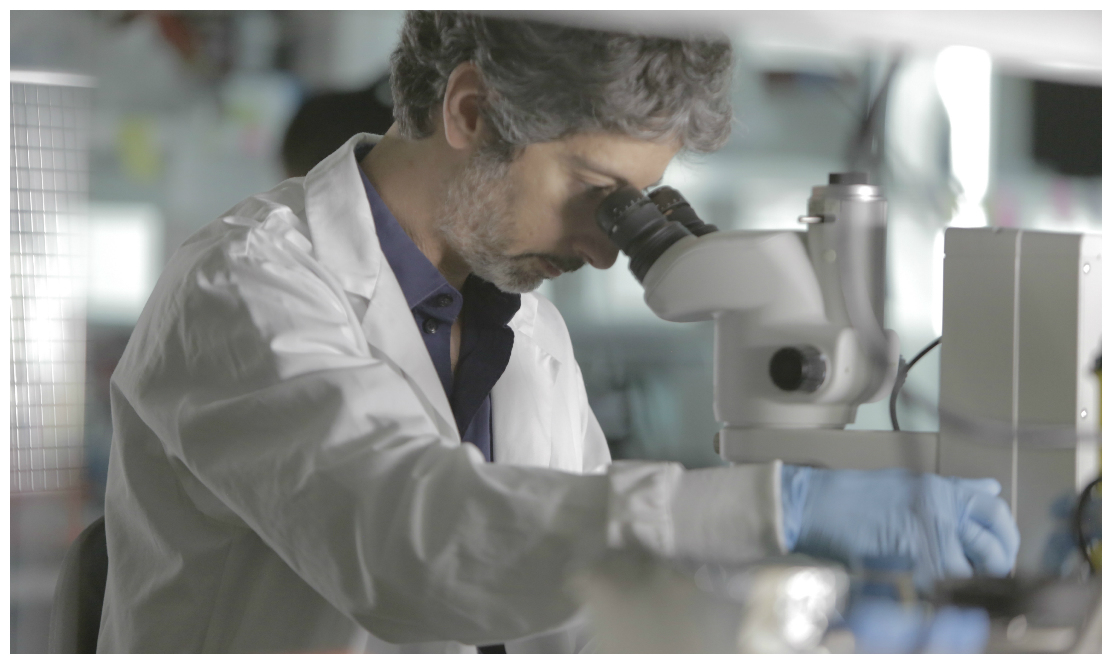 SickKids researcher looking through microscope