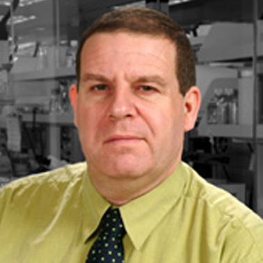 Eyal Grunebaum headshot